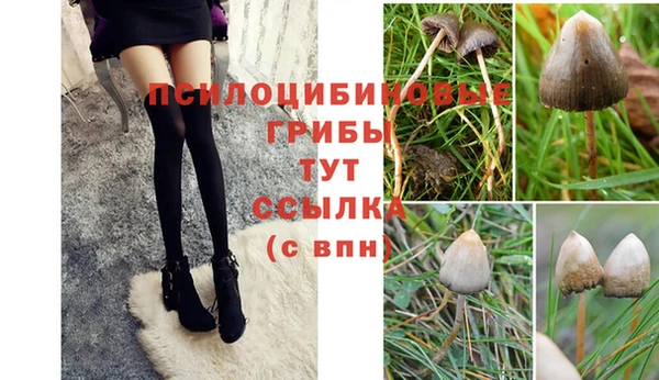 прущая мука Красноперекопск